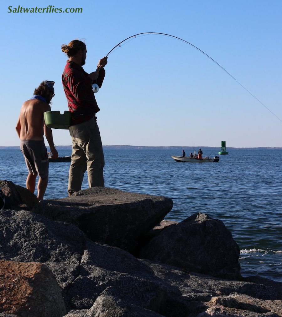 Jetty Roping!