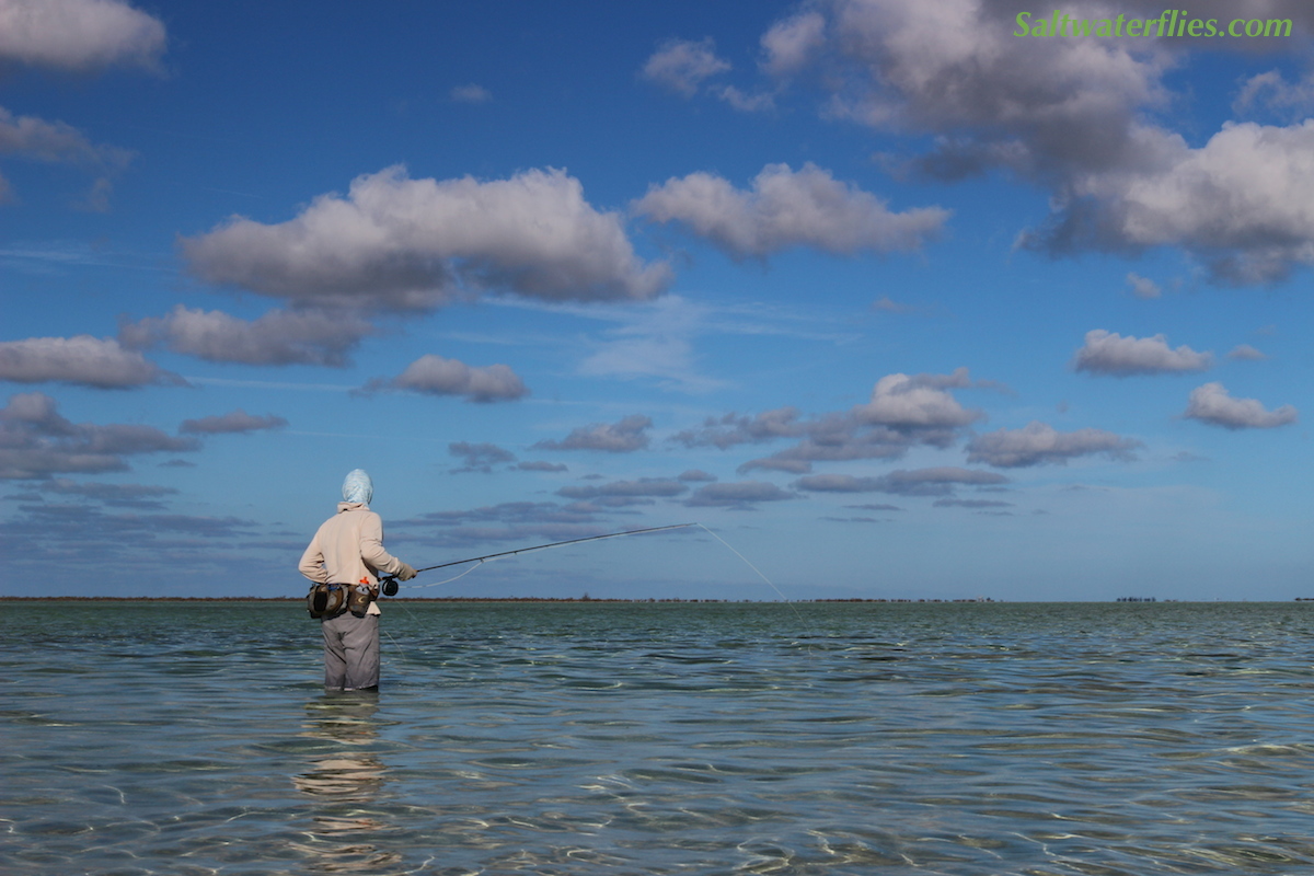 Flats fishing for Bonefish