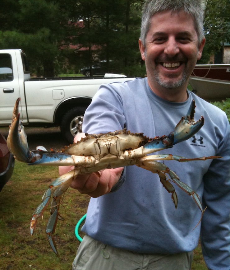 Blue Crab