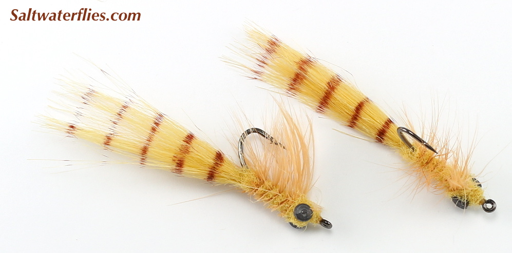 Bristle Worm Lead Eye