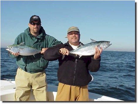 The author and Tim Spidell land an albie double header at Harker's. Photo: Michael Bascome