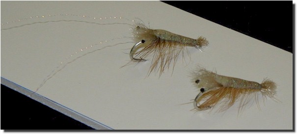 Ray Avitable's E-Z Shape Shrimp