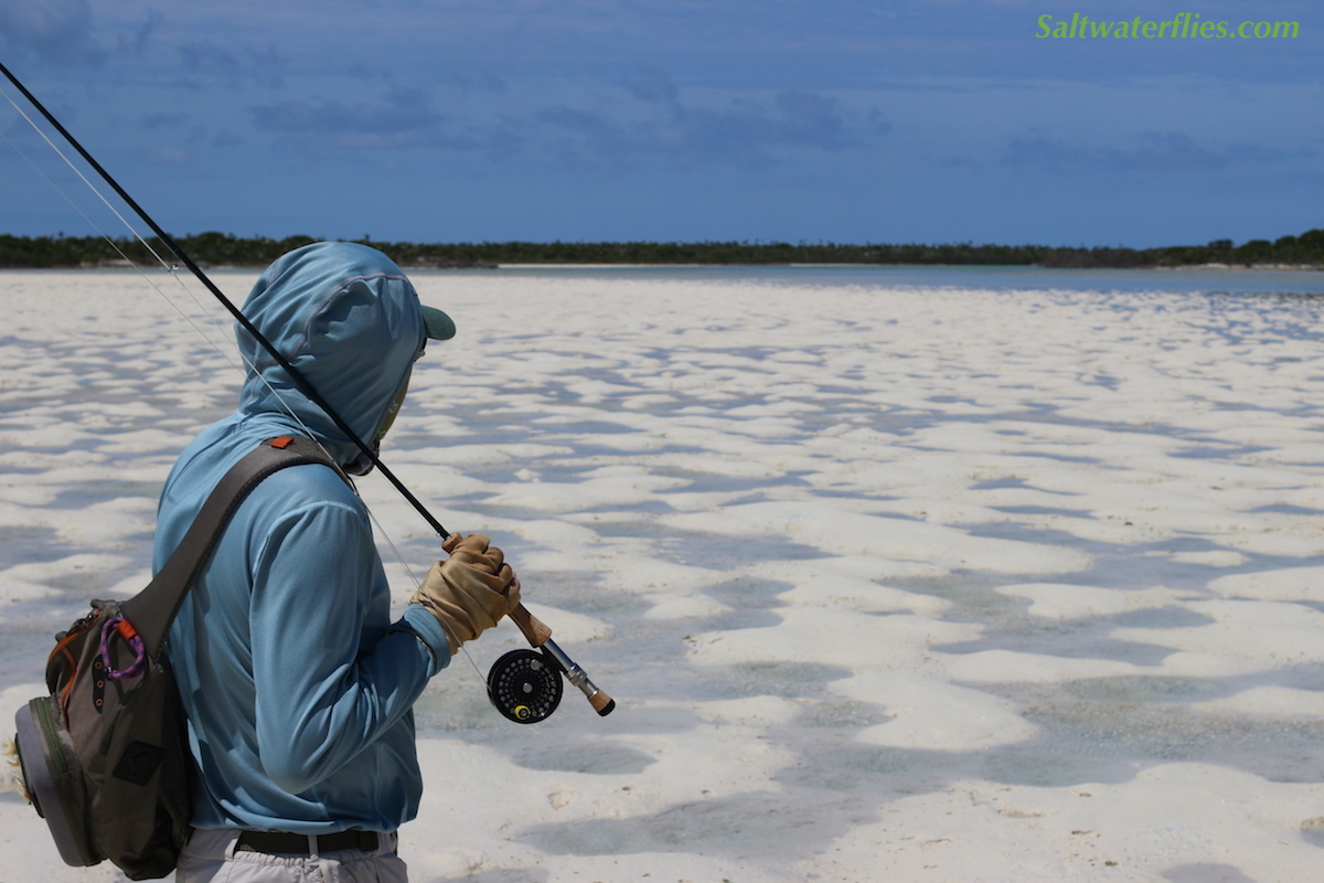 Shallow Water Bonefish Flat