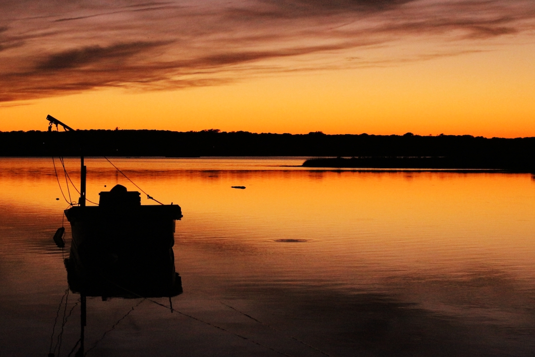 Striped bass swirls at sunset - Photo: Chris Windram